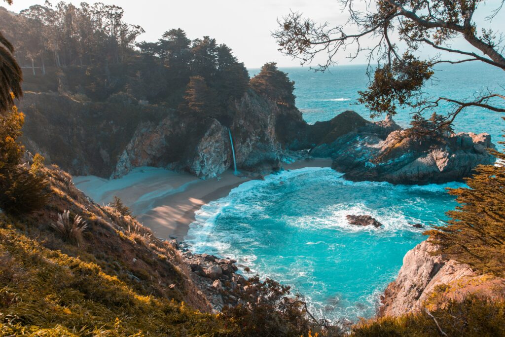 derek-thomson-TWoL-QCZubY-unsplash derek thomson TWoL QCZubY unsplash