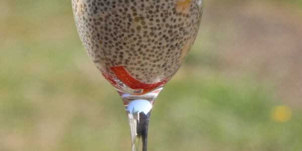 chia seeds, chia seed pudding, pudding, dieting, diet, fresh, fruit, breakfast, meal, homemade, raw, grain, dessert, chia, chia seeds, chia seeds, chia seeds, chia seeds, chia seeds