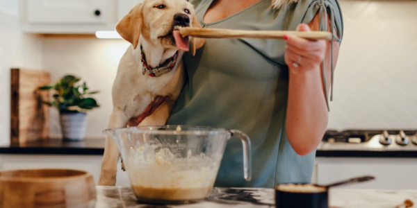 Homemade Pet Treat Recipes: Healthy and Easy Options for Your Furry Friends