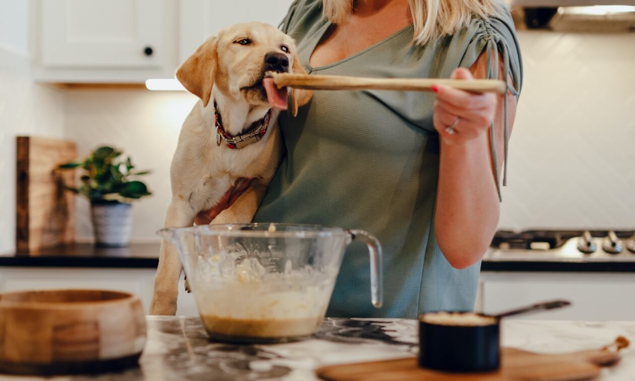 Homemade Pet Treat Recipes: Healthy and Easy Options for Your Furry Friends