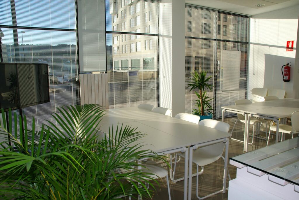 How to Choose the Right Plant for Office Space: A Comprehensive Guide 3 Spacious, sunlit office lounge featuring white tables and chairs with a modern aesthetic.