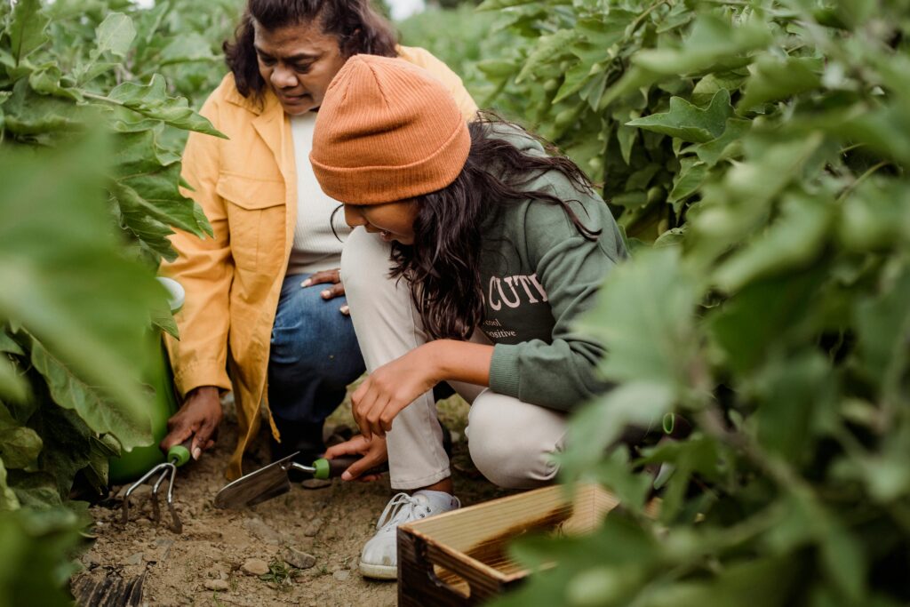 What Are the Steps to Start a Community Garden 3 pexels photo 5529587 5529587