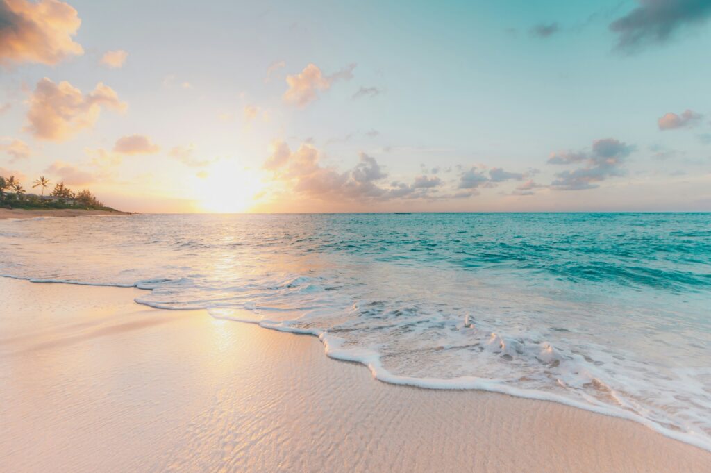 sean-oulashin-KMn4VEeEPR8-unsplash sean oulashin KMn4VEeEPR8 unsplash
