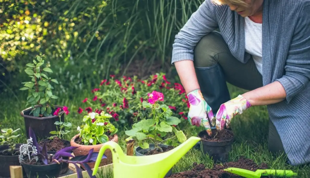 Home Gardening for Mental Health