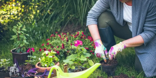 Home Gardening for Mental Health